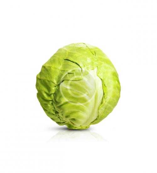 Green Cabbage