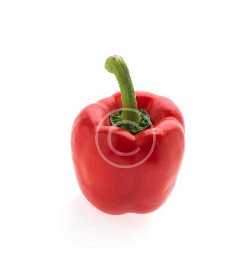 Bell Pepper
