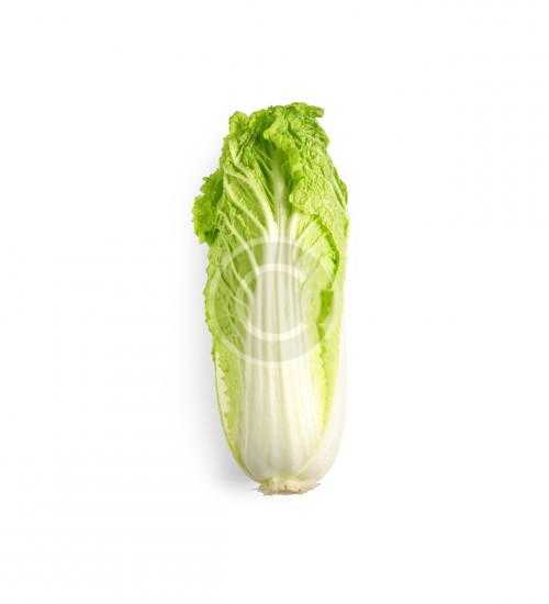 Napa Cabbage