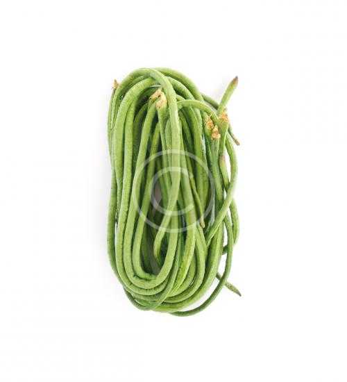 Green Asparagus